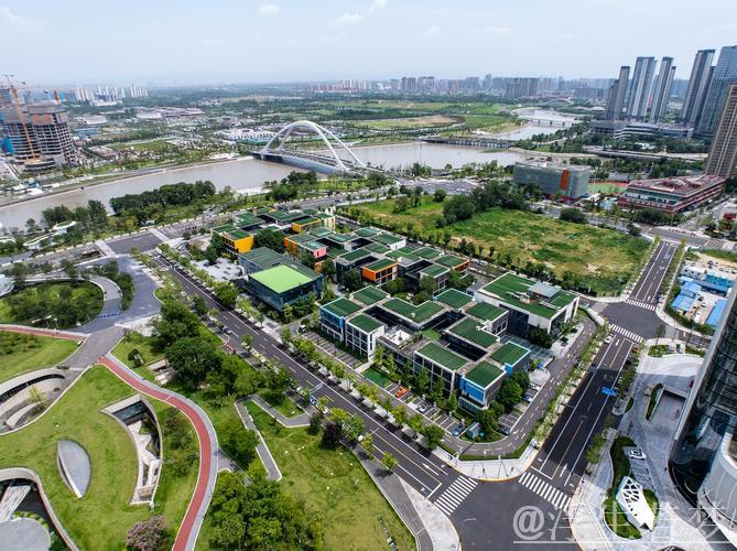 经济大省“领跑”产业新赛道